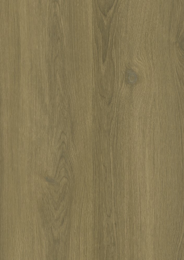 Brook Oak – Planke – Everglade
