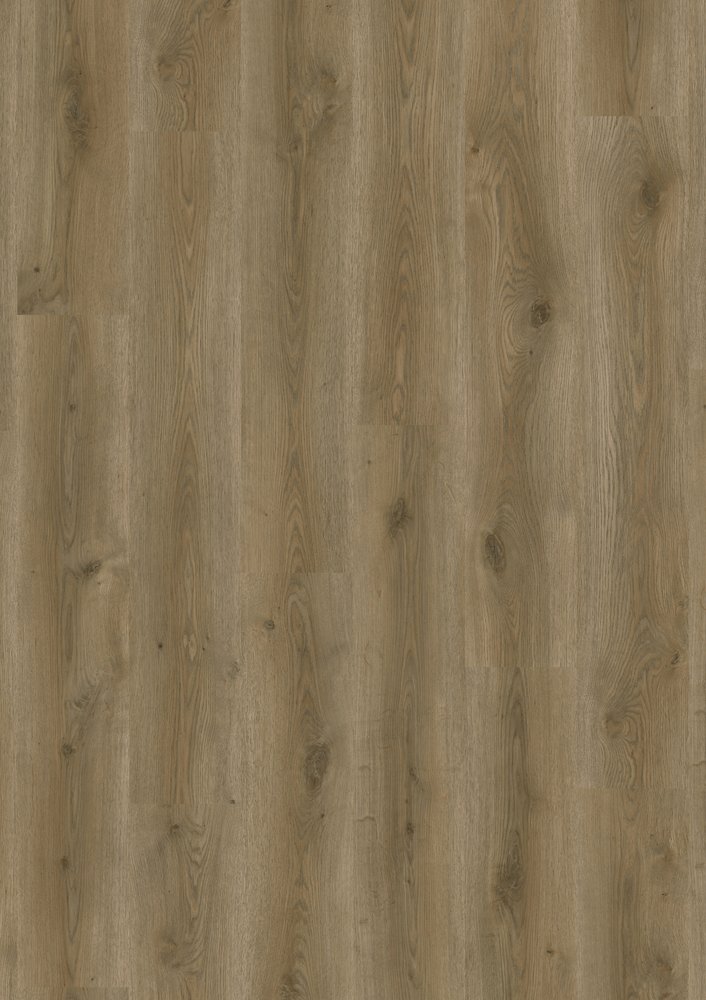 Contemporary Oak – Planke – Natural